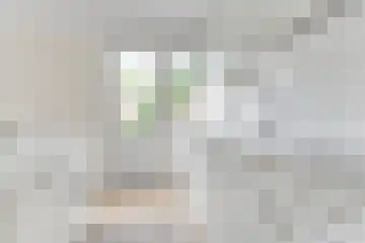 Mozartlaan 16 Alkmaar thumbnail 14