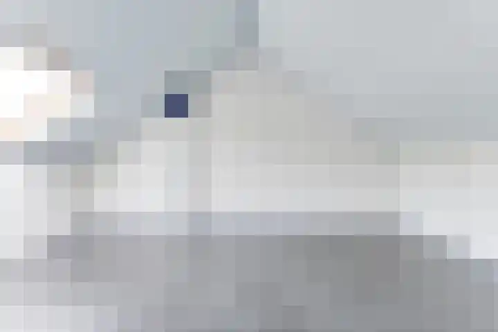 Mozartlaan 16 Alkmaar thumbnail 28