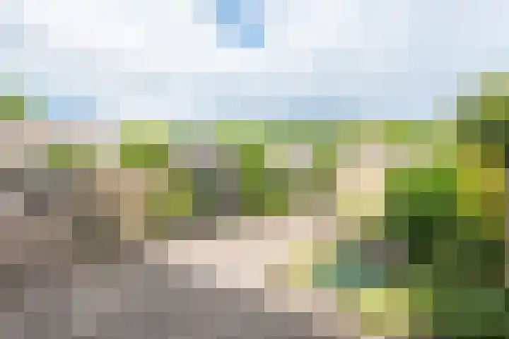 Mozartlaan 16 Alkmaar thumbnail 31