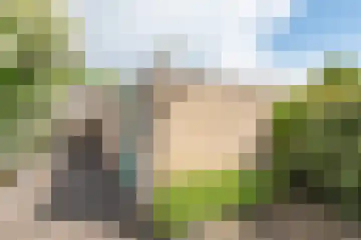 Mozartlaan 16 Alkmaar thumbnail 32