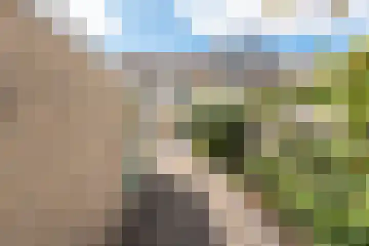 Mozartlaan 16 Alkmaar thumbnail 36
