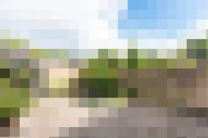 Mozartlaan 16 Alkmaar thumbnail 4