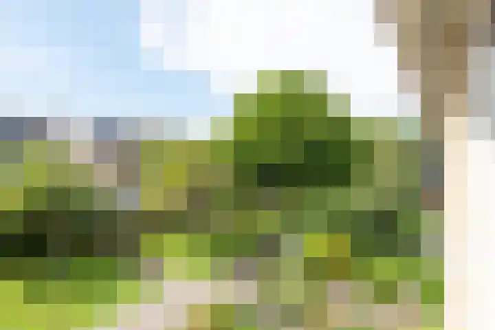 Mozartlaan 16 Alkmaar thumbnail 40