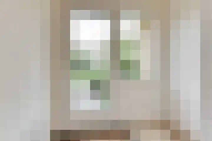 Mozartlaan 16 Alkmaar thumbnail 5