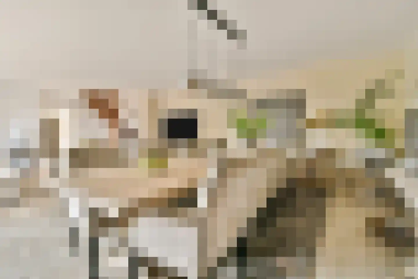 Mozartlaan 16 Rhoon thumbnail 13