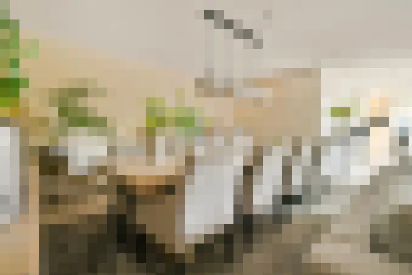 Mozartlaan 16 Rhoon thumbnail 14