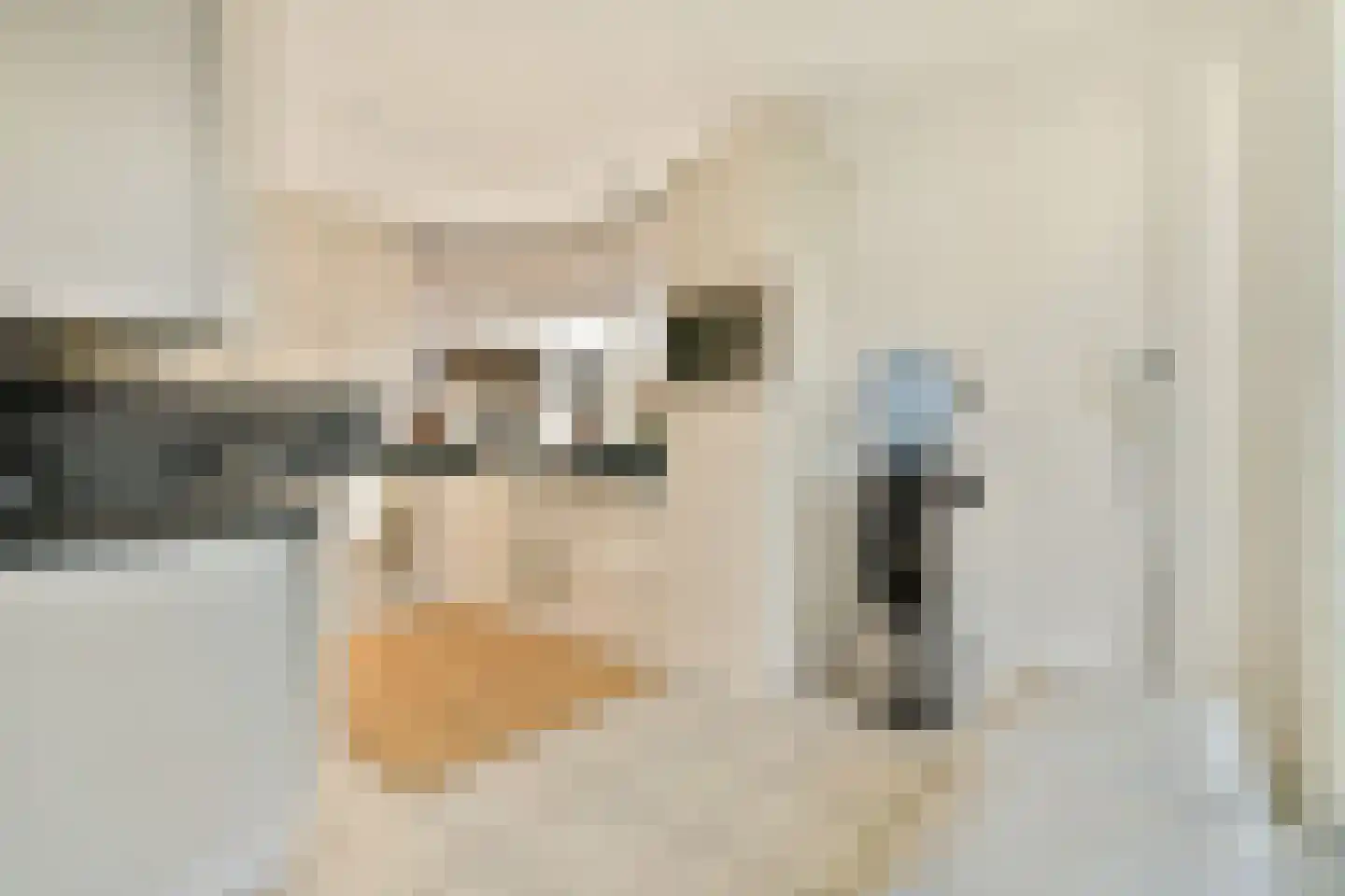 Mozartlaan 16 Rhoon thumbnail 15