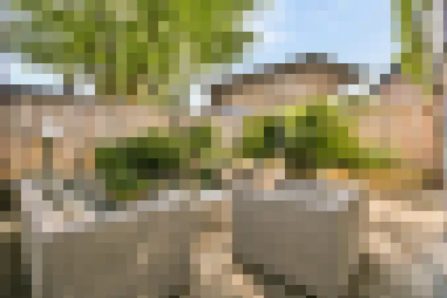 Mozartlaan 16 Rhoon thumbnail 18