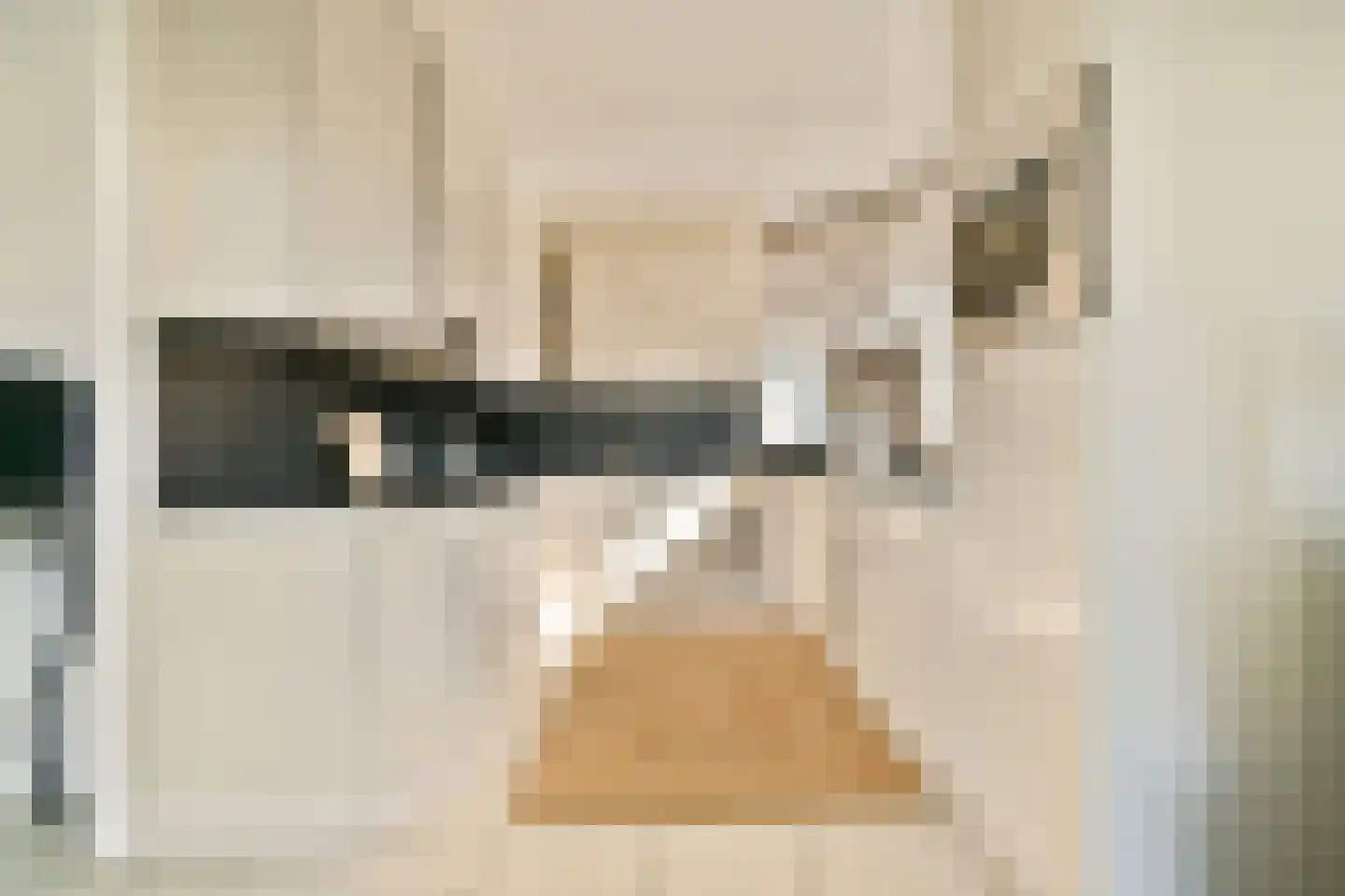 Mozartlaan 16 Rhoon thumbnail 4
