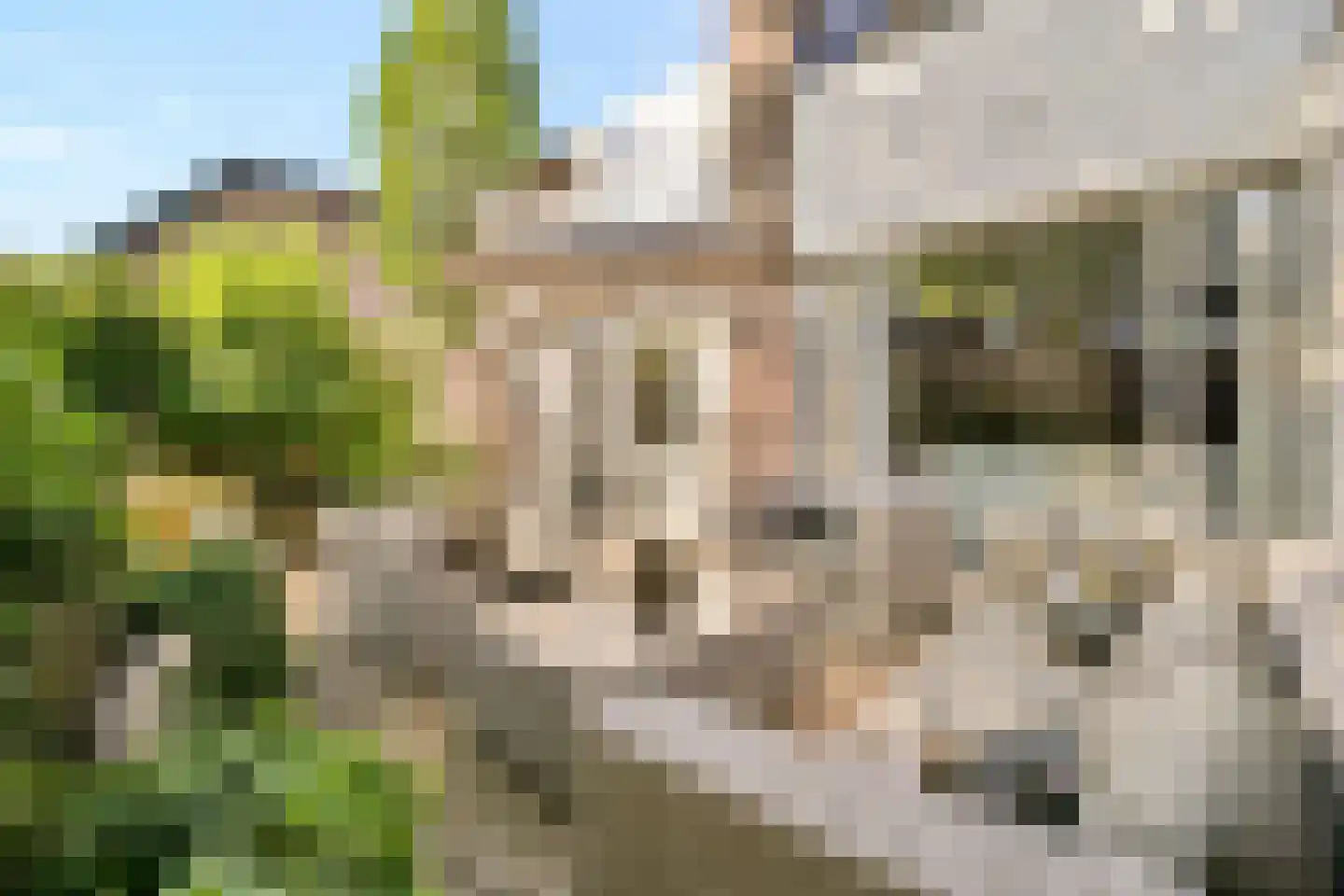 Mozartlaan 16 Rhoon thumbnail 5