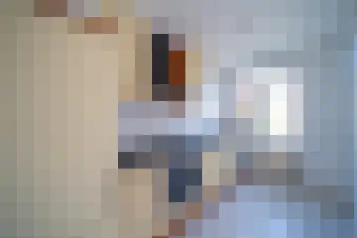Mozartlaan 161 Den Haag thumbnail 13