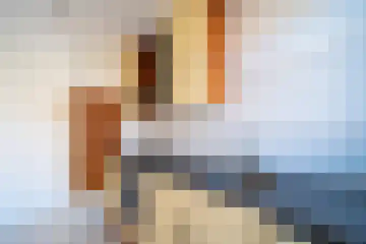 Mozartlaan 161 Den Haag thumbnail 14