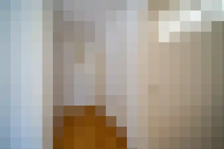 Mozartlaan 161 Den Haag thumbnail 18