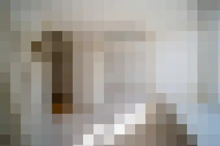 Mozartlaan 161 Den Haag thumbnail 24