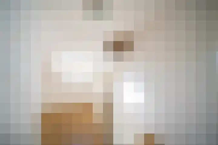 Mozartlaan 161 Den Haag thumbnail 28