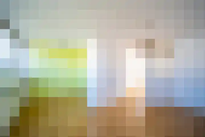 Mozartlaan 161 Den Haag thumbnail 37