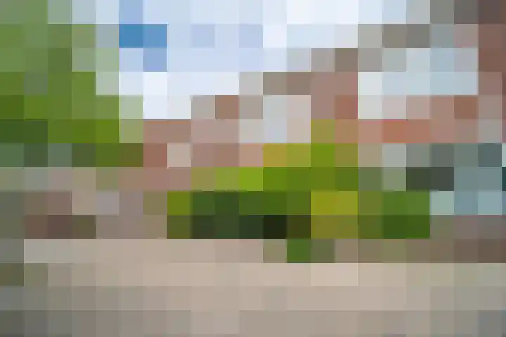 Mozartlaan 161 Den Haag thumbnail 4