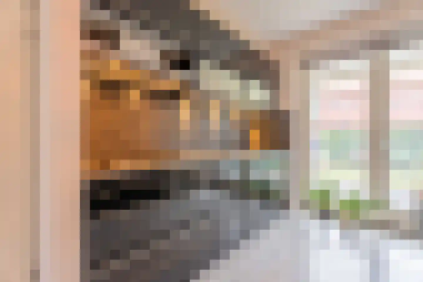 Mozartlaan 163 Voorhout thumbnail 12