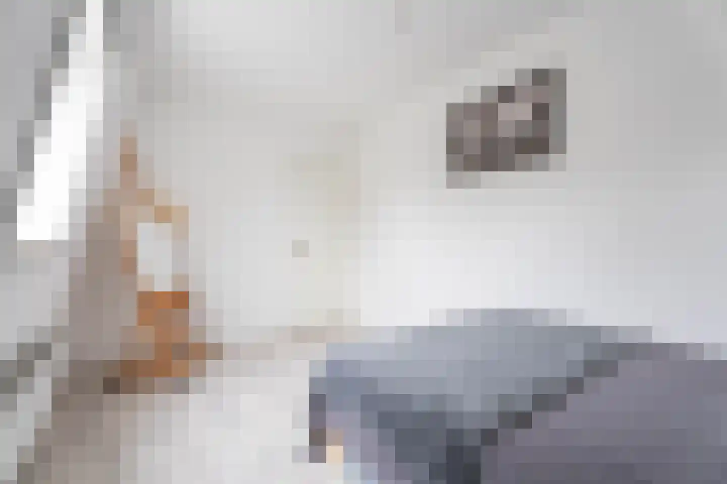 Mozartlaan 163 Voorhout thumbnail 20