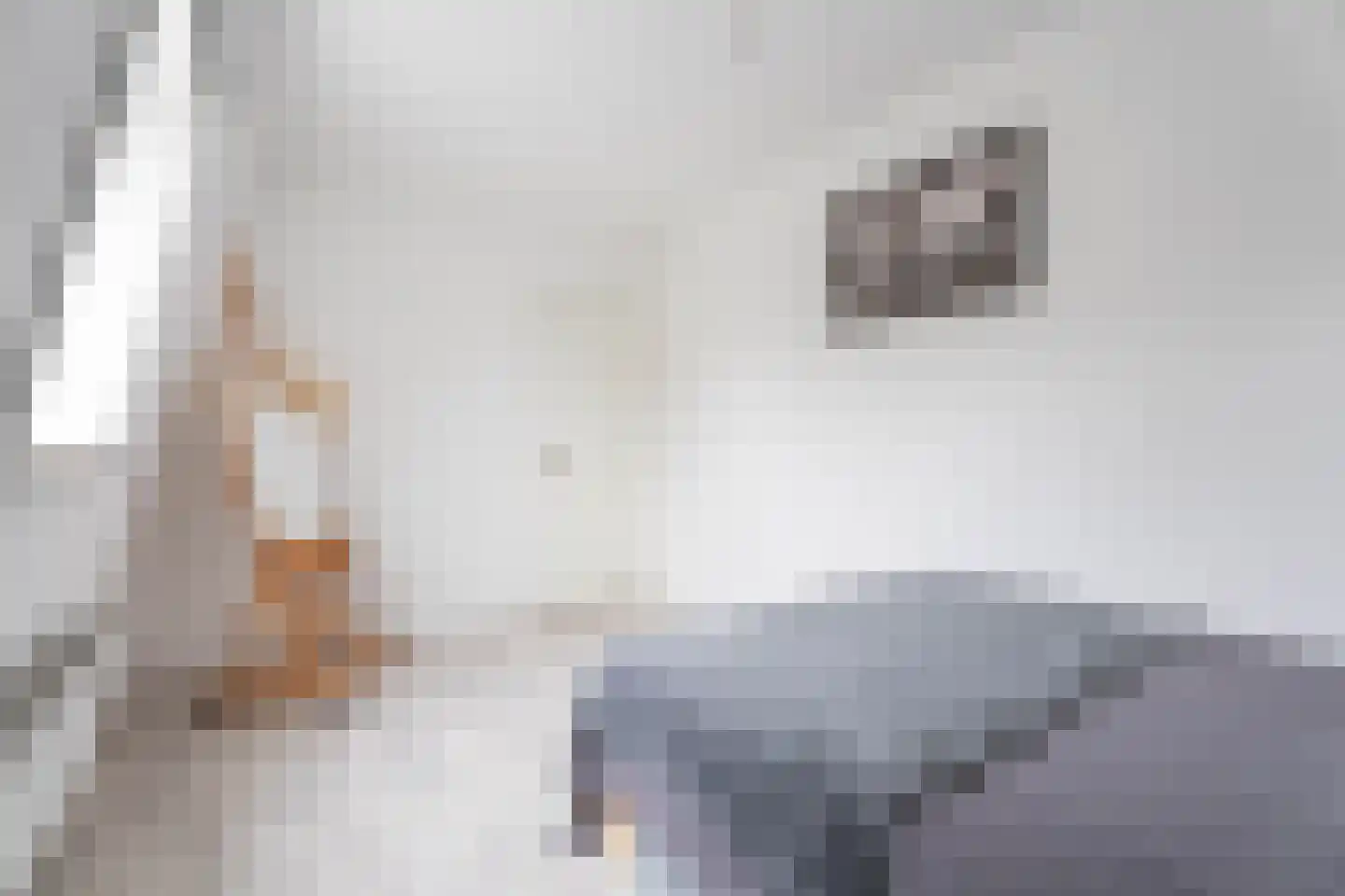 Mozartlaan 163 Voorhout thumbnail 20