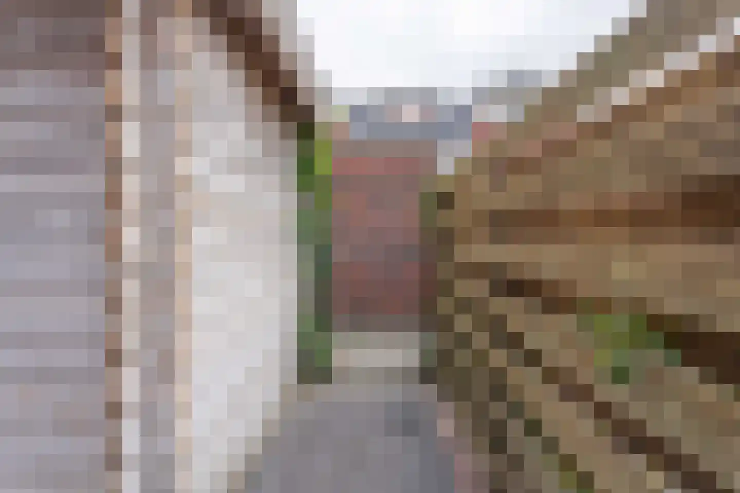 Mozartlaan 163 Voorhout thumbnail 34