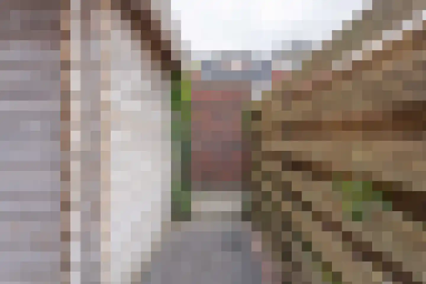 Mozartlaan 163 Voorhout thumbnail 34