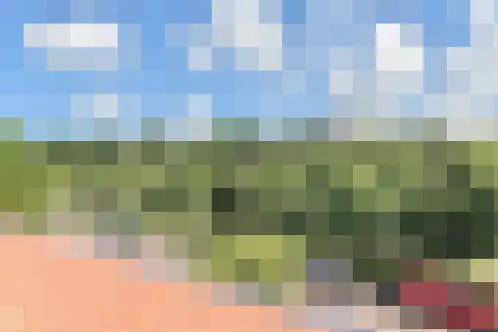 Mozartlaan 173 Den Haag thumbnail 16