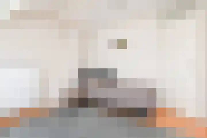 Mozartlaan 173 Den Haag thumbnail 35