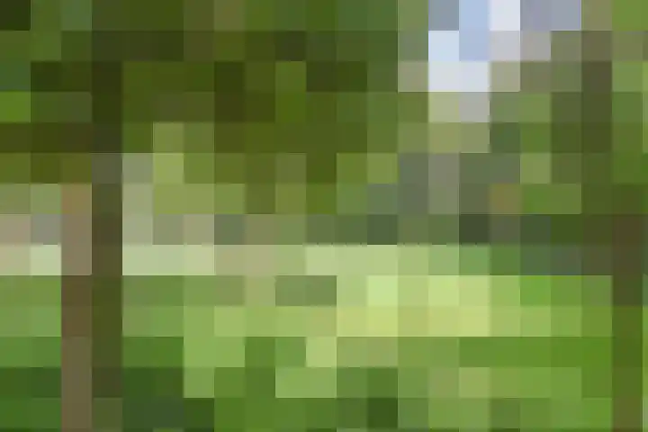 Mozartlaan 173 Den Haag thumbnail 48