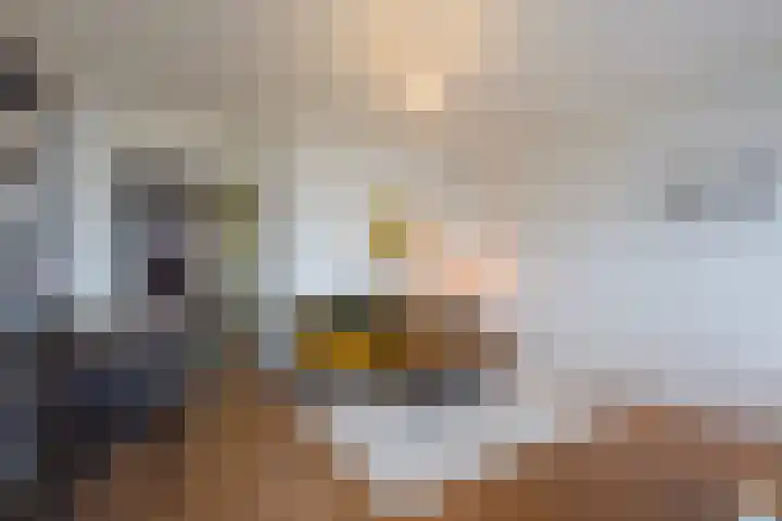 Mozartlaan 178 Den Haag thumbnail 17