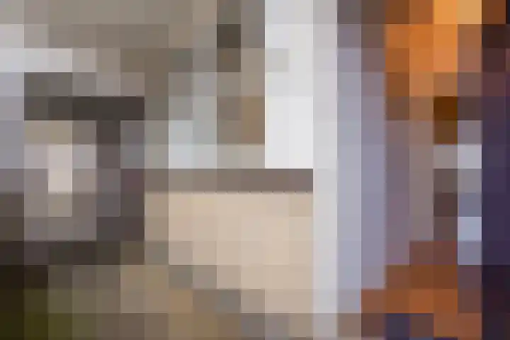 Mozartlaan 178 Den Haag thumbnail 7