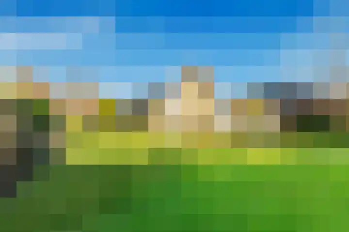 Mozartlaan 18 Castricum thumbnail 4