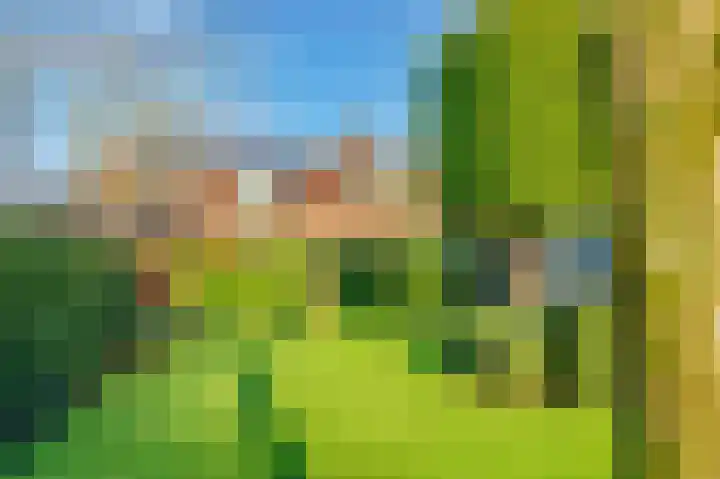 Mozartlaan 18 Castricum thumbnail 51