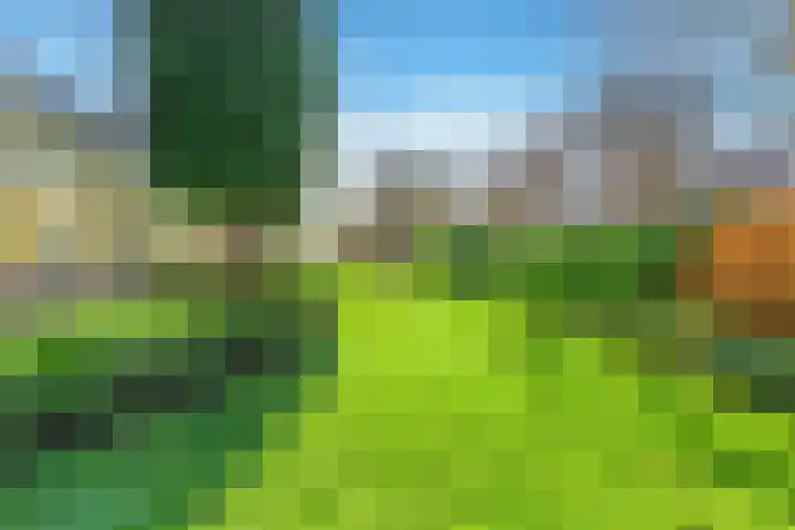 Mozartlaan 18 Castricum thumbnail 53