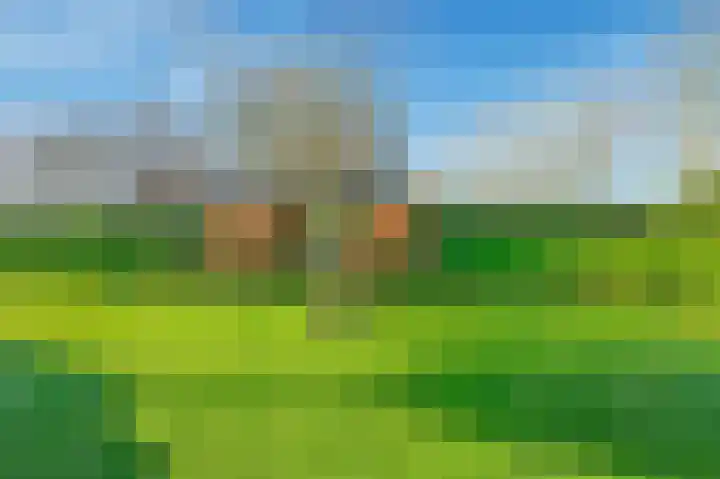 Mozartlaan 18 Castricum thumbnail 54