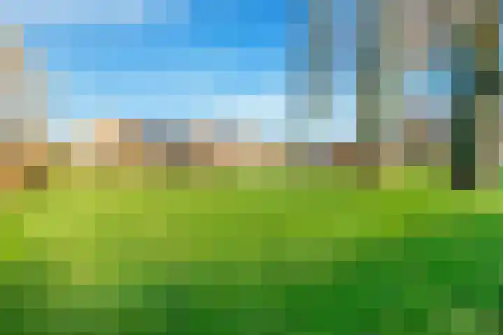 Mozartlaan 18 Castricum thumbnail 63