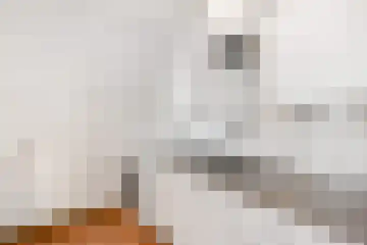 Mozartlaan 182 Den Haag thumbnail 16