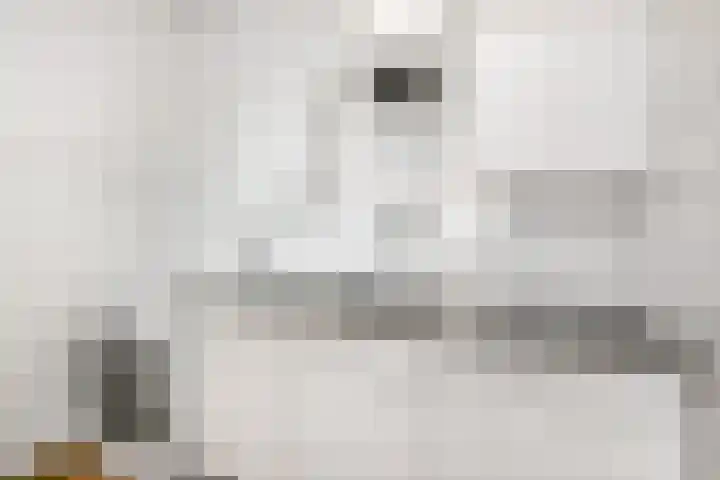 Mozartlaan 182 Den Haag thumbnail 17