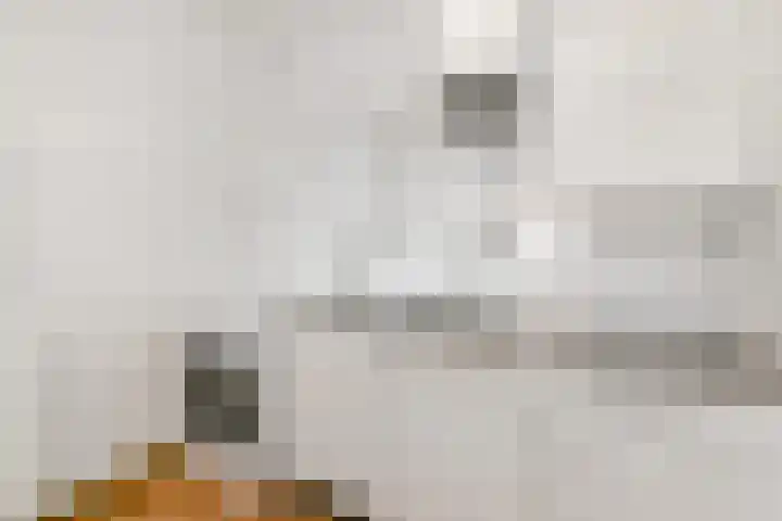 Mozartlaan 182 Den Haag thumbnail 18