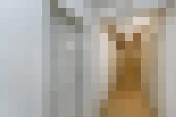 Mozartlaan 182 Den Haag thumbnail 32