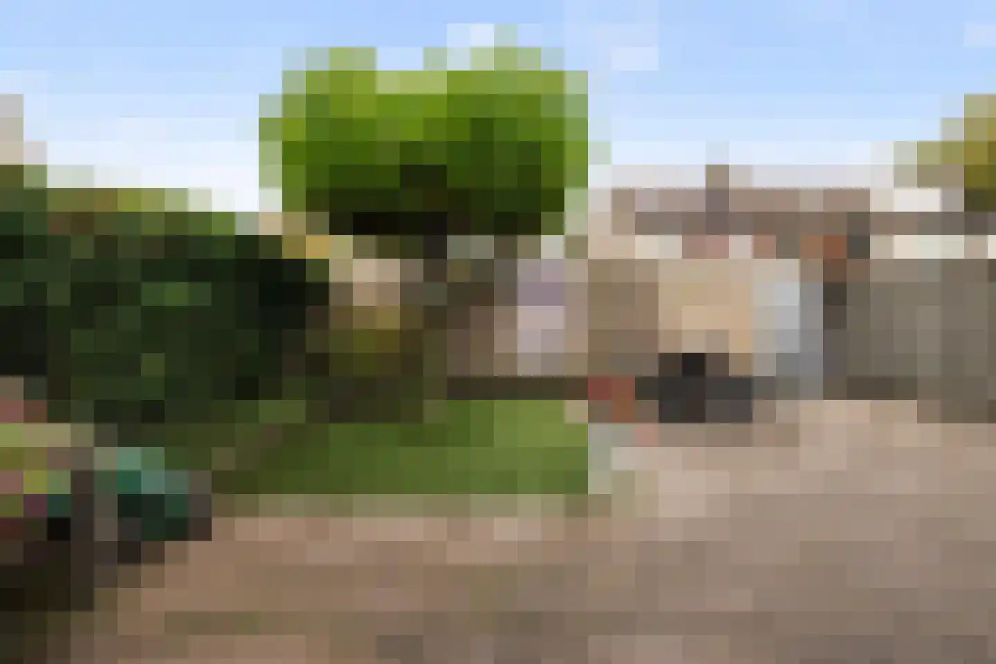 Mozartlaan 19 Boxtel thumbnail 48