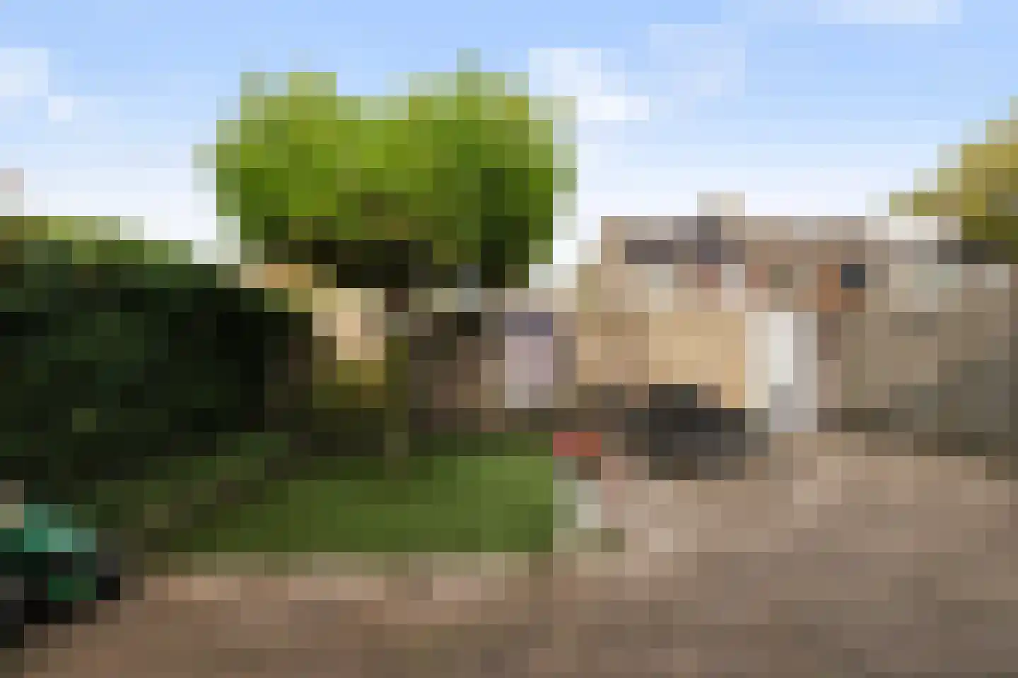 Mozartlaan 19 Boxtel thumbnail 54