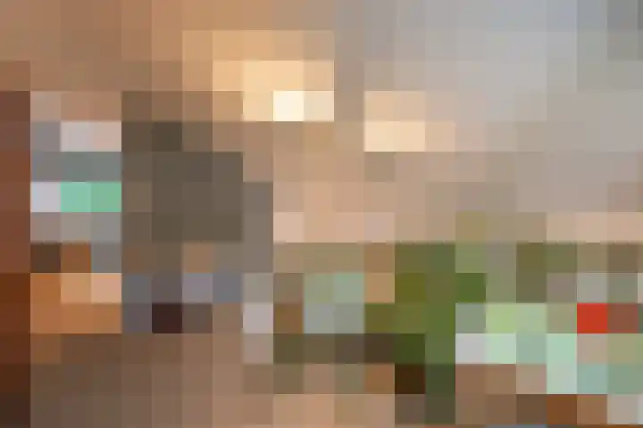 Mozartlaan 19 Oss thumbnail 15