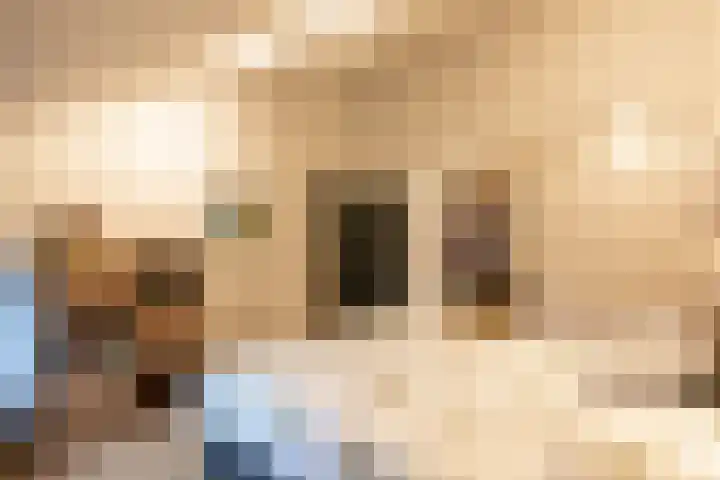 Mozartlaan 19 Oss thumbnail 17