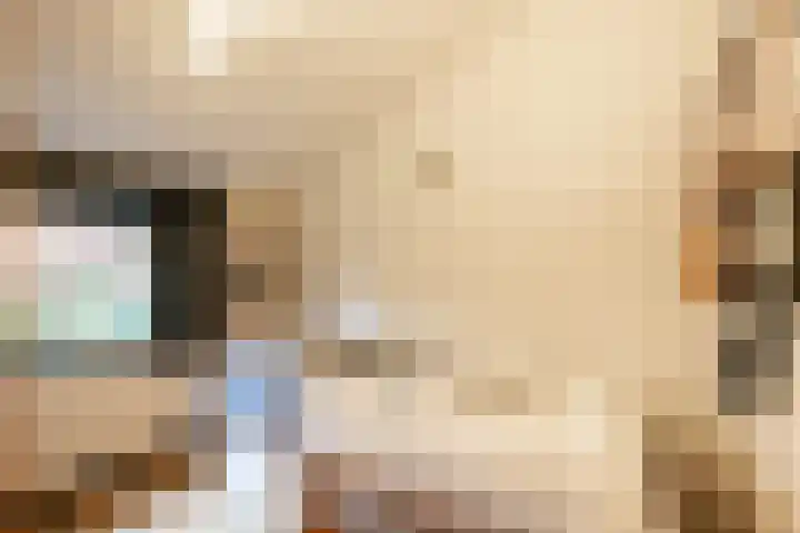Mozartlaan 19 Oss thumbnail 19