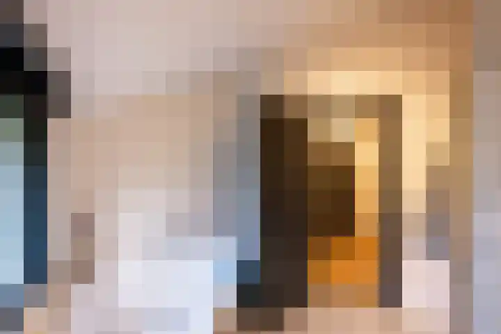 Mozartlaan 19 Oss thumbnail 21