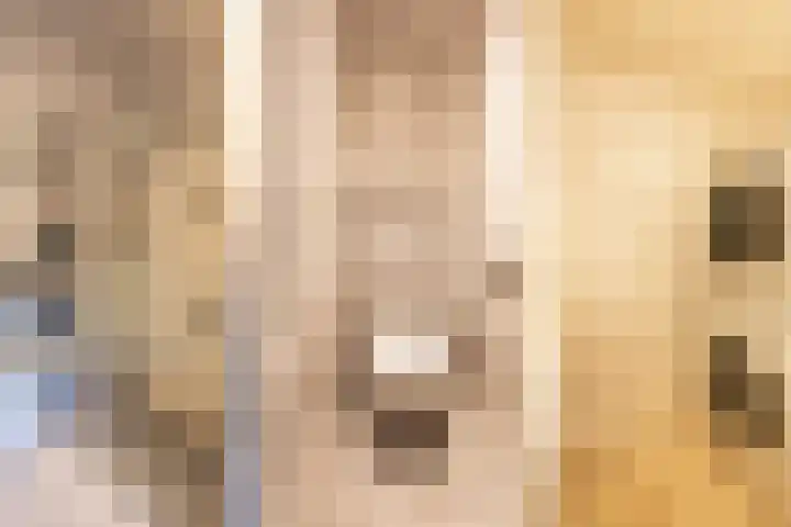 Mozartlaan 19 Oss thumbnail 22