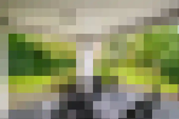 Mozartlaan 19 Oss thumbnail 24