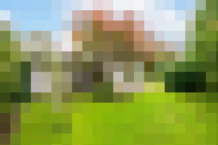 Mozartlaan 19 Oss thumbnail 25
