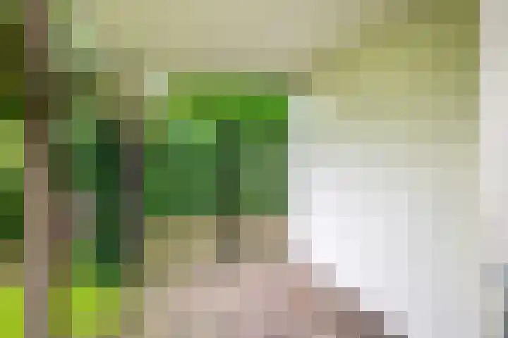 Mozartlaan 19 Oss thumbnail 26